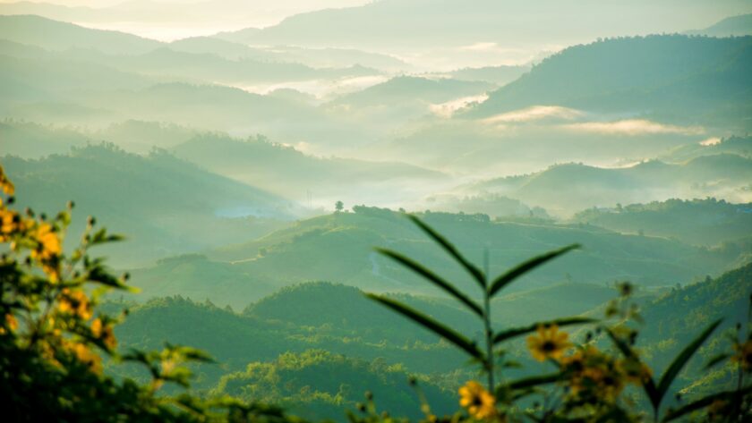 Những người phá vỡ bình yên